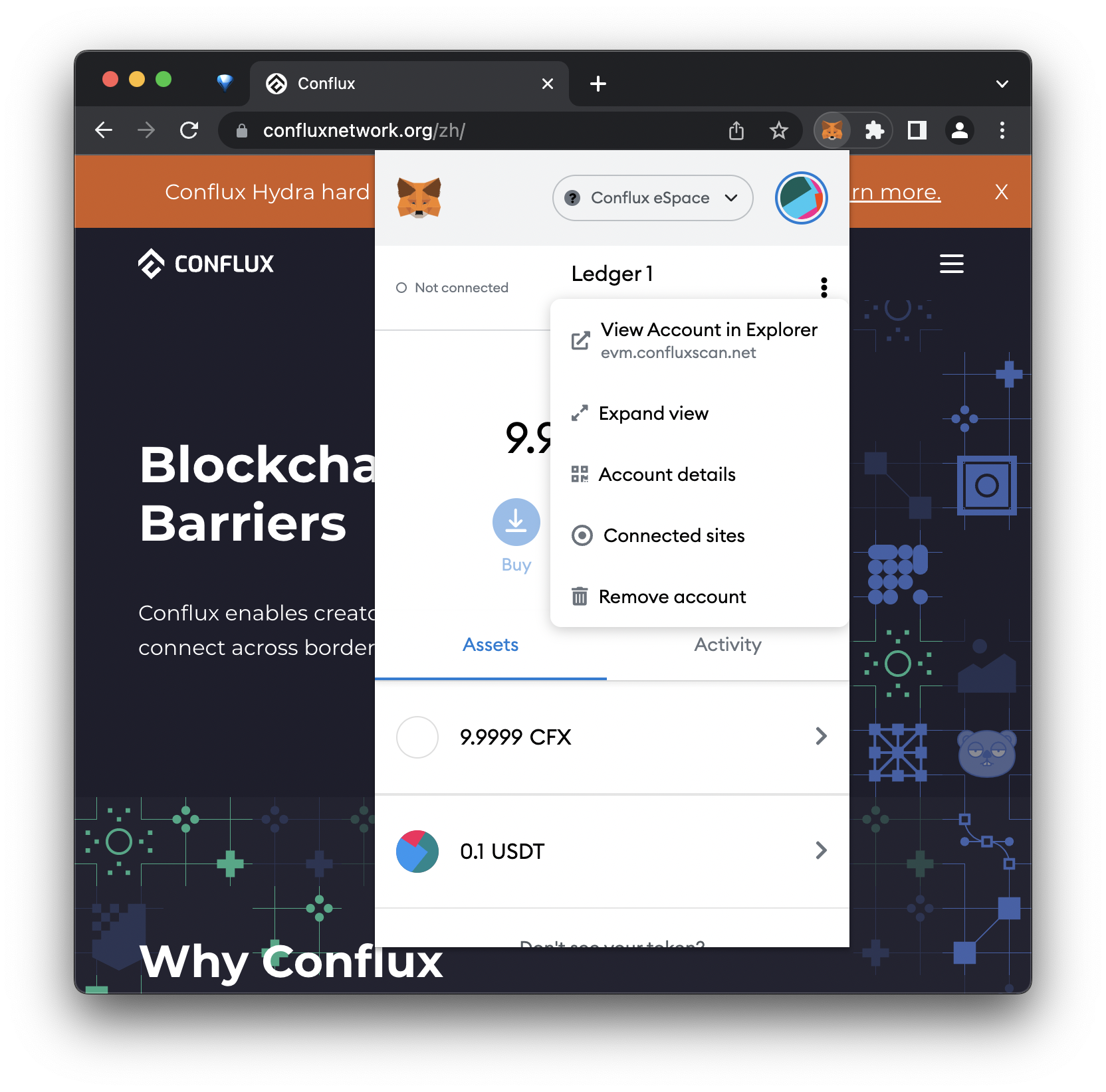 conflux-app-in-ledger-live